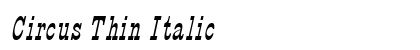 Circus Thin Italic Preview