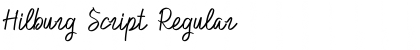 Hilburg Script Regular Font