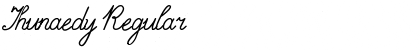 Download Thunaedy Font Download Thunaedy Font