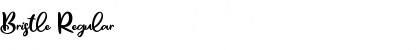 Bristle Font