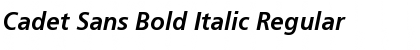 Cadet Sans Bold Italic Regular Font