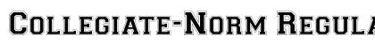 Collegiate-Norm Regular preview