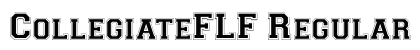 CollegiateFLF Regular preview