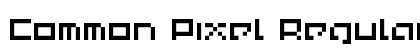 Common Pixel Regular preview