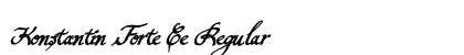 Konstantin Forte Ce Regular preview