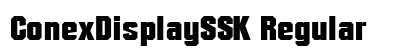 ConexDisplaySSK Regular Preview