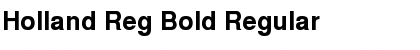 Holland Reg Bold Regular Font