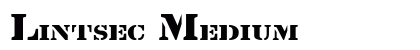 Lintsec Medium Preview