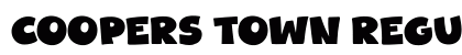 Coopers Town Regular preview