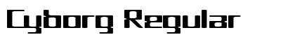Cyborg Regular preview
