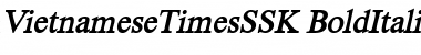 VietnameseTimesSSK Font