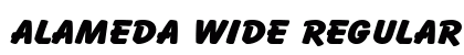 Alameda Wide Regular preview