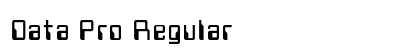 Data Pro Regular