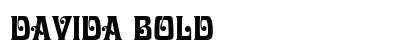 Davida Bold preview