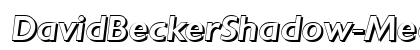 DavidBeckerShadow-Medium Italic preview