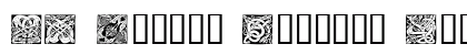 LM Celtic Squares Regular preview