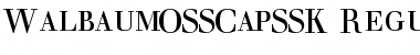 WalbaumOSSCapSSK Regular Font