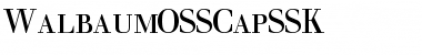 Download WalbaumOSSCapSSK Font