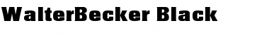 WalterBecker-Black Regular Font