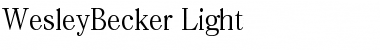 WesleyBecker-Light Regular Font