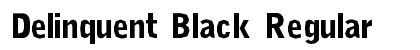 Delinquent Black Regular preview