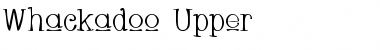 Whackadoo Upper Regular Font