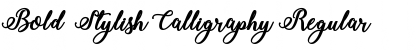 Bold  Stylish Calligraphy Regular Font