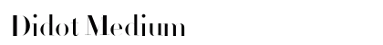 Didot Medium preview
