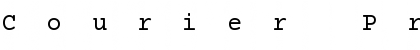 Courier Prime Regular Font