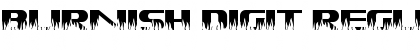 Burnish Digit Regular Font