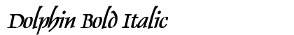 Dolphin Bold Italic Preview
