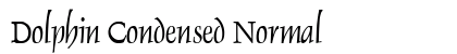 Dolphin Condensed Normal preview