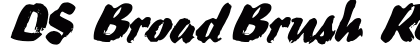 DS BroadBrush Regular preview