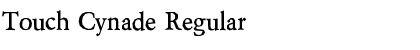 Download Touch Cynade Font Download Touch Cynade Font