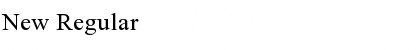 New Regular Font