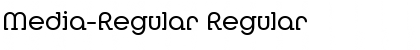 Media-Regular Font