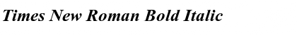 Times New Roman Font