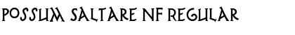 Download Possum Saltare NF Font