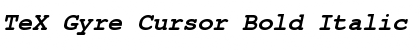 TeX Gyre Cursor Font