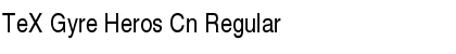 TeX Gyre Heros Cn Font