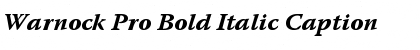Warnock Pro Bold Italic Caption Font