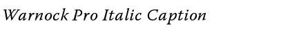 Warnock Pro Italic Caption Font
