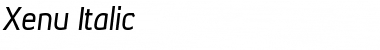 Xenu Italic Font Xenu Italic Font