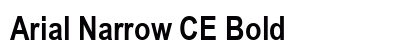 Arial Narrow CE Bold Font Arial Narrow CE Bold Font Preview