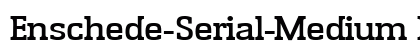 Enschede-Serial-Medium Regular preview