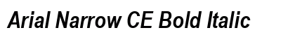 Arial Narrow CE Bold Italic Font Arial Narrow CE Bold Italic Font Preview