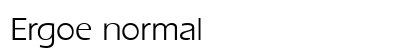 Ergoe normal Preview