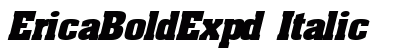 EricaBoldExpd Italic preview