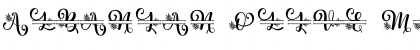 Albanian Olive Monogram 2 Font