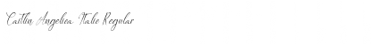 Download Caitlin Angelica Italic Font Download Caitlin Angelica Italic Font